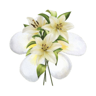 White Flowers