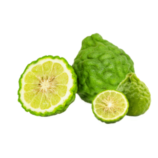 Bergamot