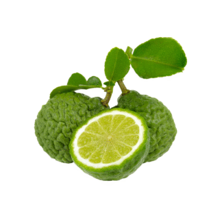 Calabrian Bergamot