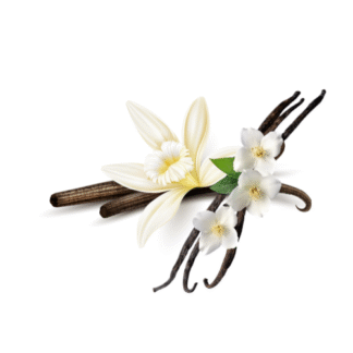 Vanilla